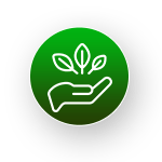Why Choose VIVAHERB Icon For Clean Ingredients